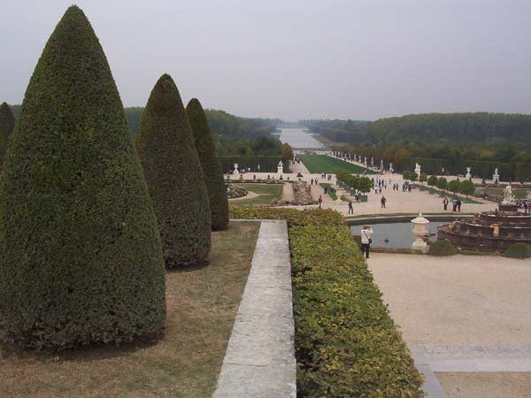 perspective-1